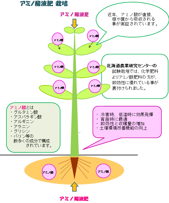 アミノ酸液肥